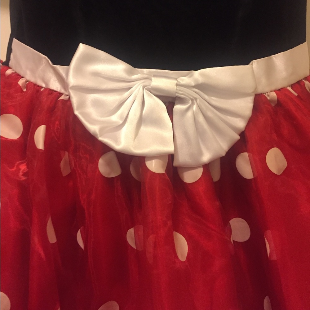 Mini Mouse Costume - image 3