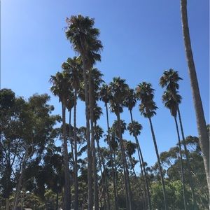 Meet your Posher, Kierstin