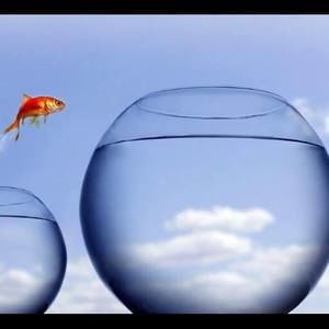 Meet your Posher, Liz