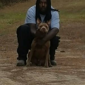 Meet your Posher, Terry