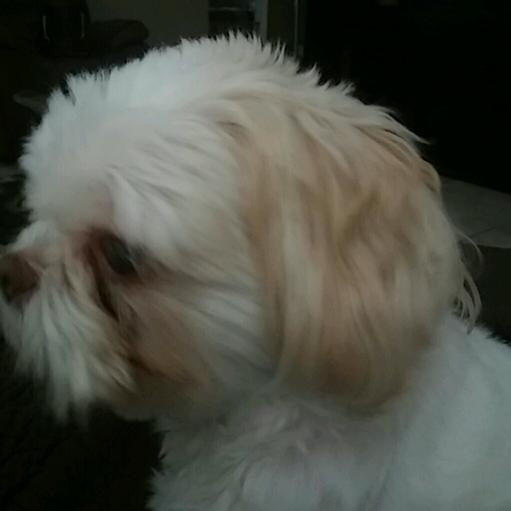 Meet your Posher, Alissa