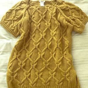 Chloe sweater dress/tunic