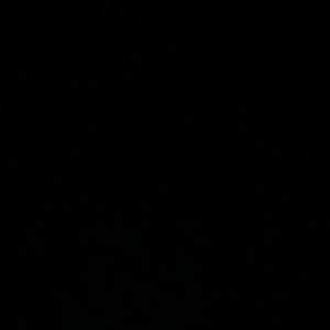 Meet your Posher, Guillermo