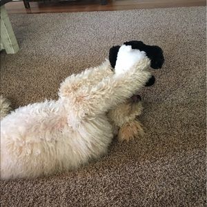 Meet your Posher, Tracy