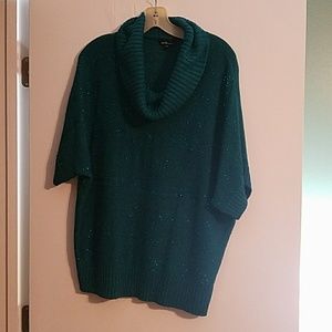Beautiful, sparkly, cowl neck short sleeve sweater