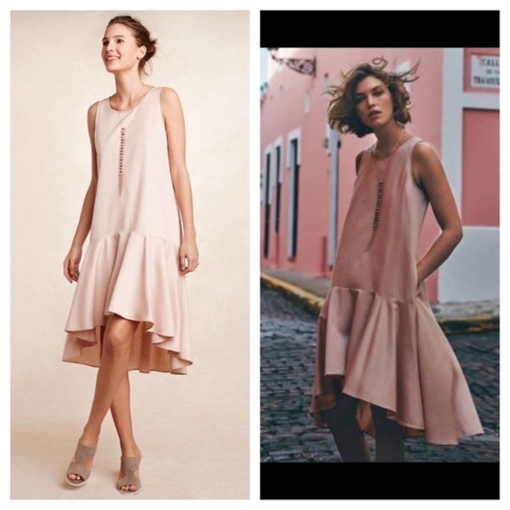 RARE camellia drop waist dress