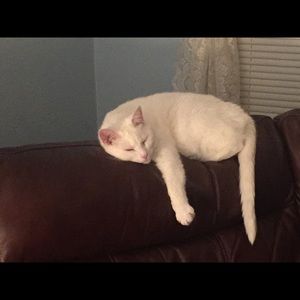 Meet your Posher, Tonya