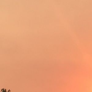 Meet your Posher, Pavan