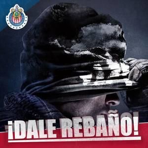 Meet your Posher, Omar