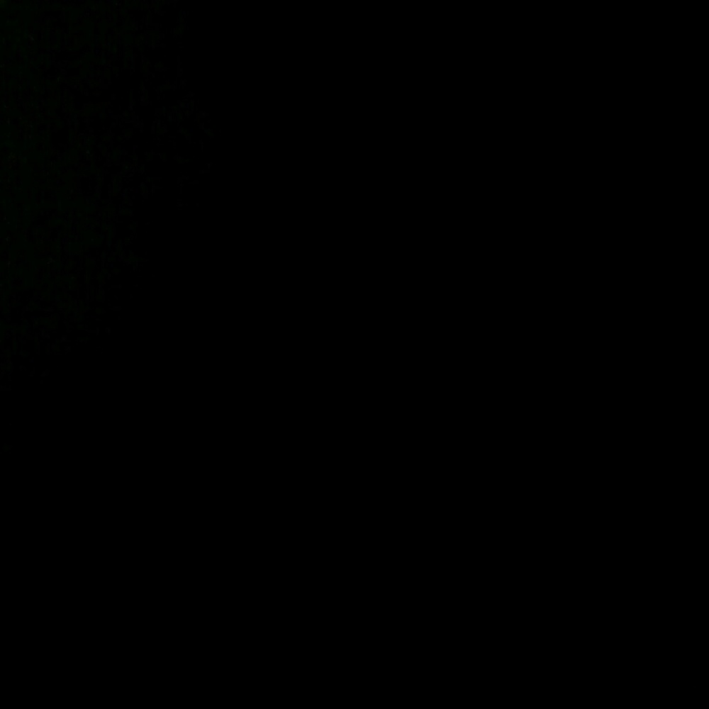 Meet your Posher, Rayden