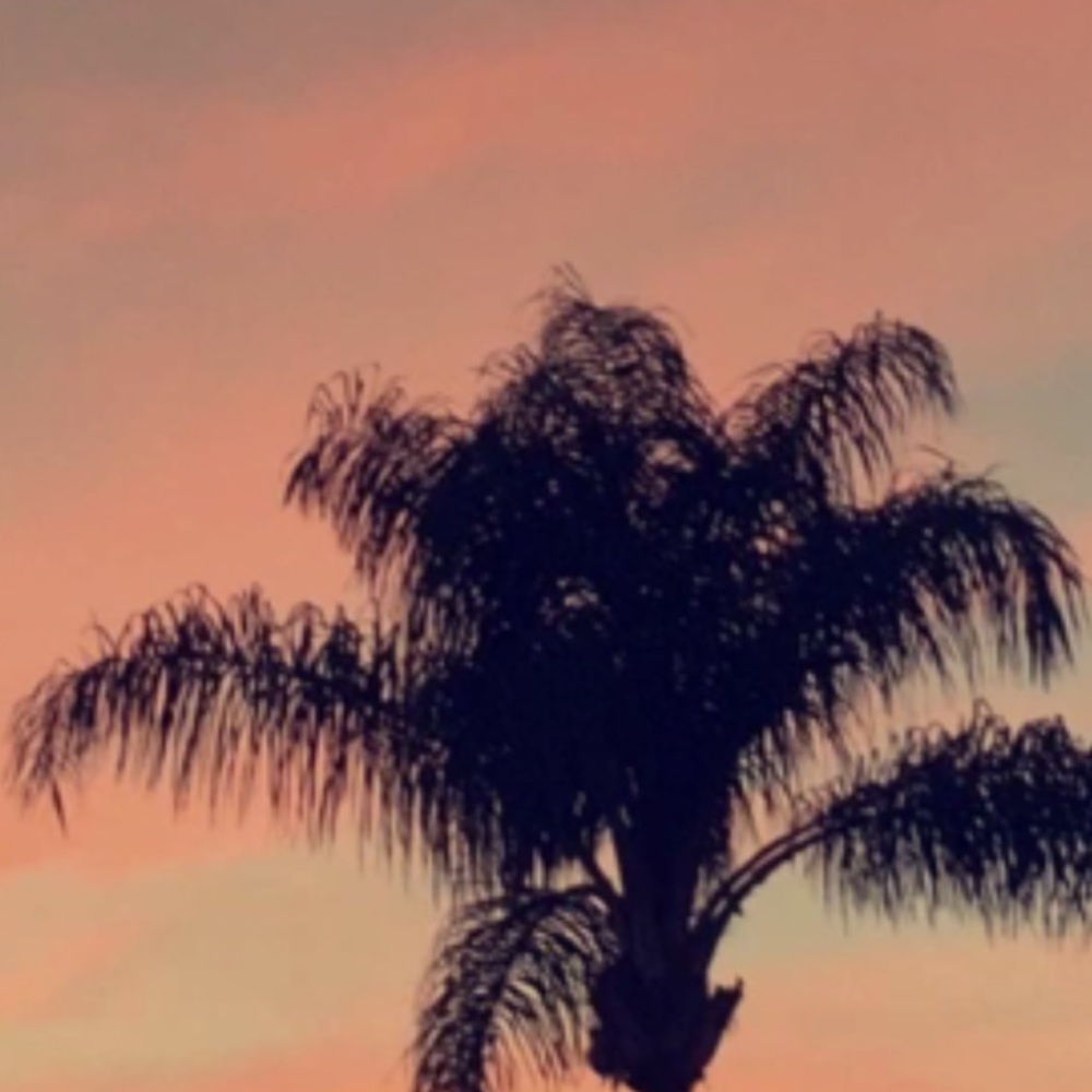 Meet your Posher, Kenzie