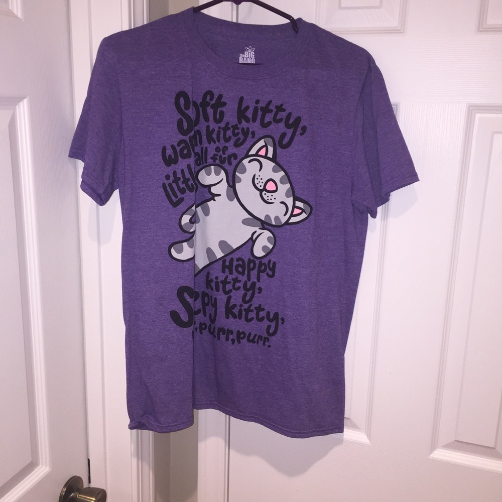 Big Bang Theory Tshirt *soft kitty* --- worn once!