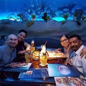 Meet your Posher, Felicia