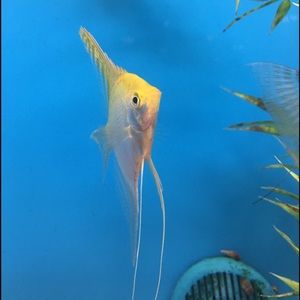 Meet your Posher, Jack