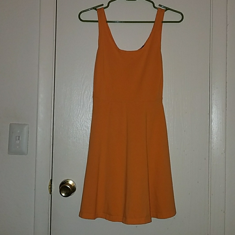 Express Skater Dress