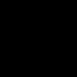 Meet your Posher, Dinorah