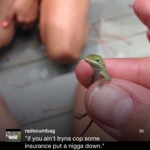 Meet your Posher, Jonathan