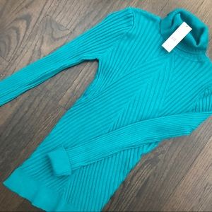 New York & Company Turquoise Blue Turtleneck
