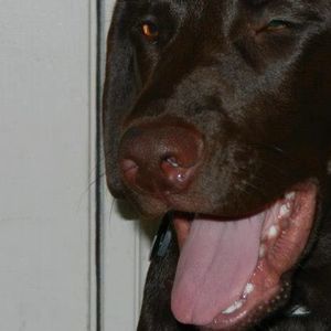 Meet your Posher, Matthew