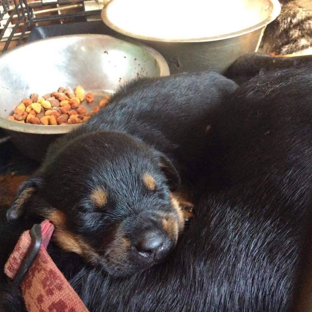 Meet your Posher, Cyndy