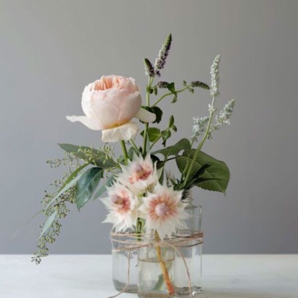 Meet your Posher, Kristen