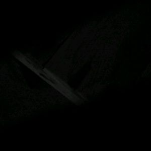 Meet your Posher, Placida