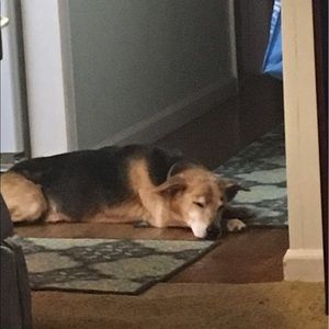 Meet your Posher, Patty