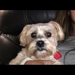 Meet your Posher, Jaime