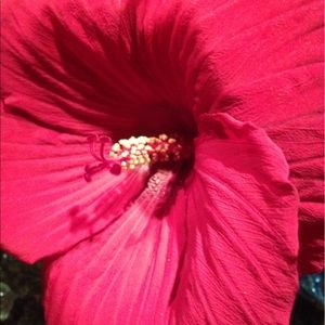 Meet your Posher, Nadya