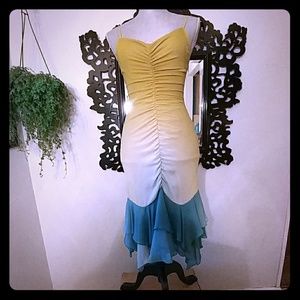 Betsey Johnson Ombre sz 2