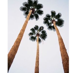 Meet your Posher, Armando