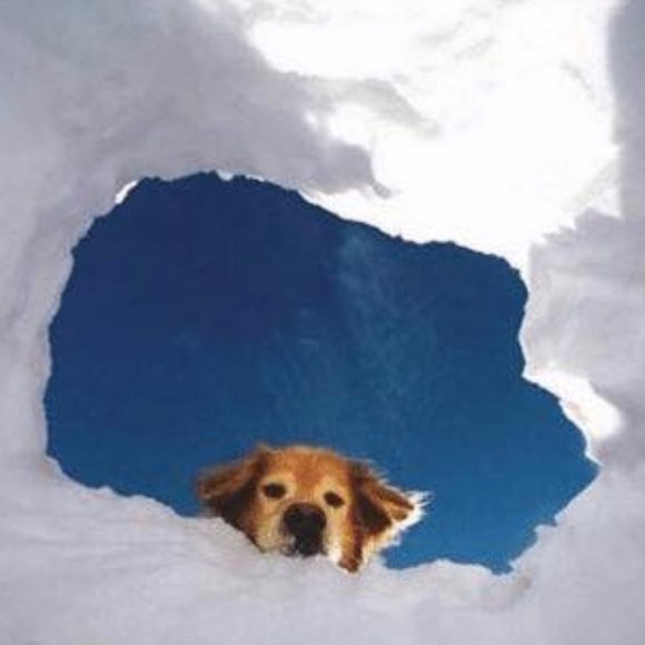 Meet your Posher, Deborah - Picture 2 of 4