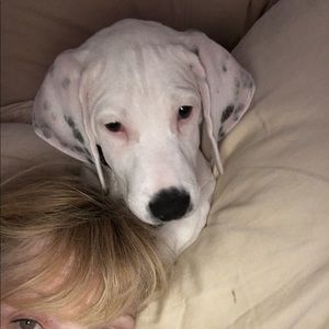 Meet your Posher, Bobbi