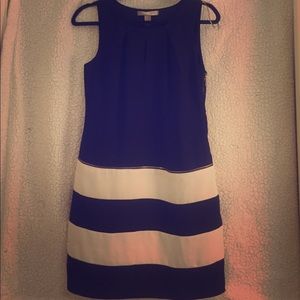 Knee length navy/white dress