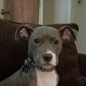 Meet your Posher, Annette