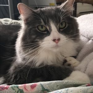 Meet your Posher, Geo