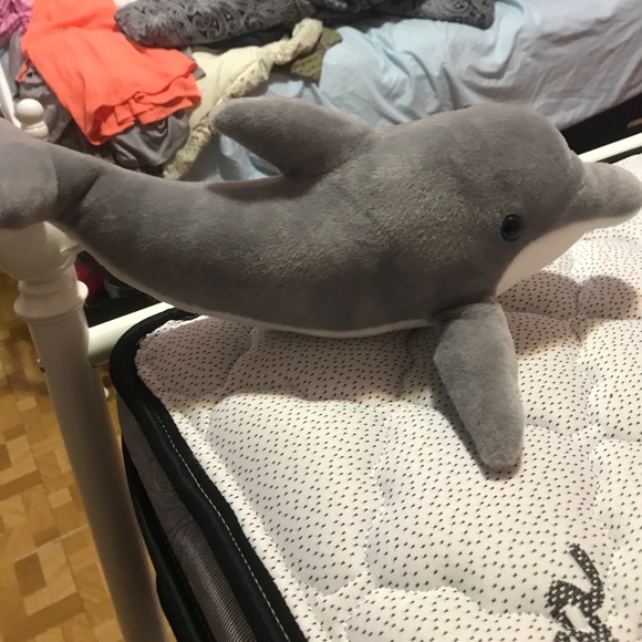 Dolphin plushy - Picture 1 of 4