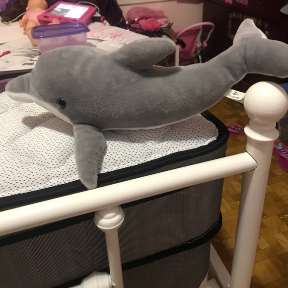 Dolphin plushy - Picture 2 of 4