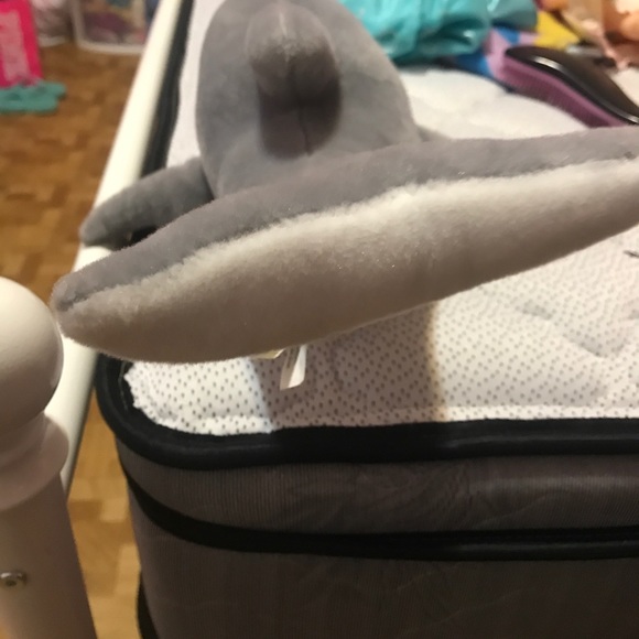 Dolphin plushy - Picture 4 of 4