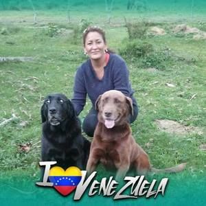 Meet your Posher, Solangel