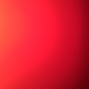 Meet your Posher, Hans