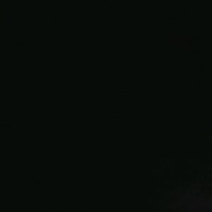 Meet your Posher, Bryant