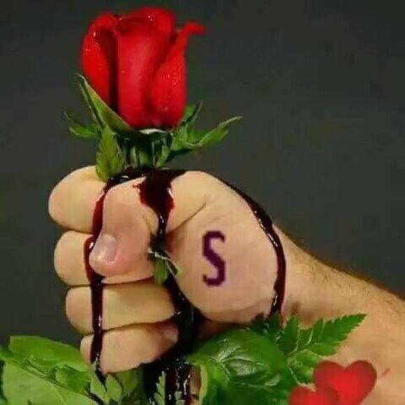 Meet your Posher, Ram - Picture 1 of 1