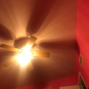 Meet your Posher, Mckenzie