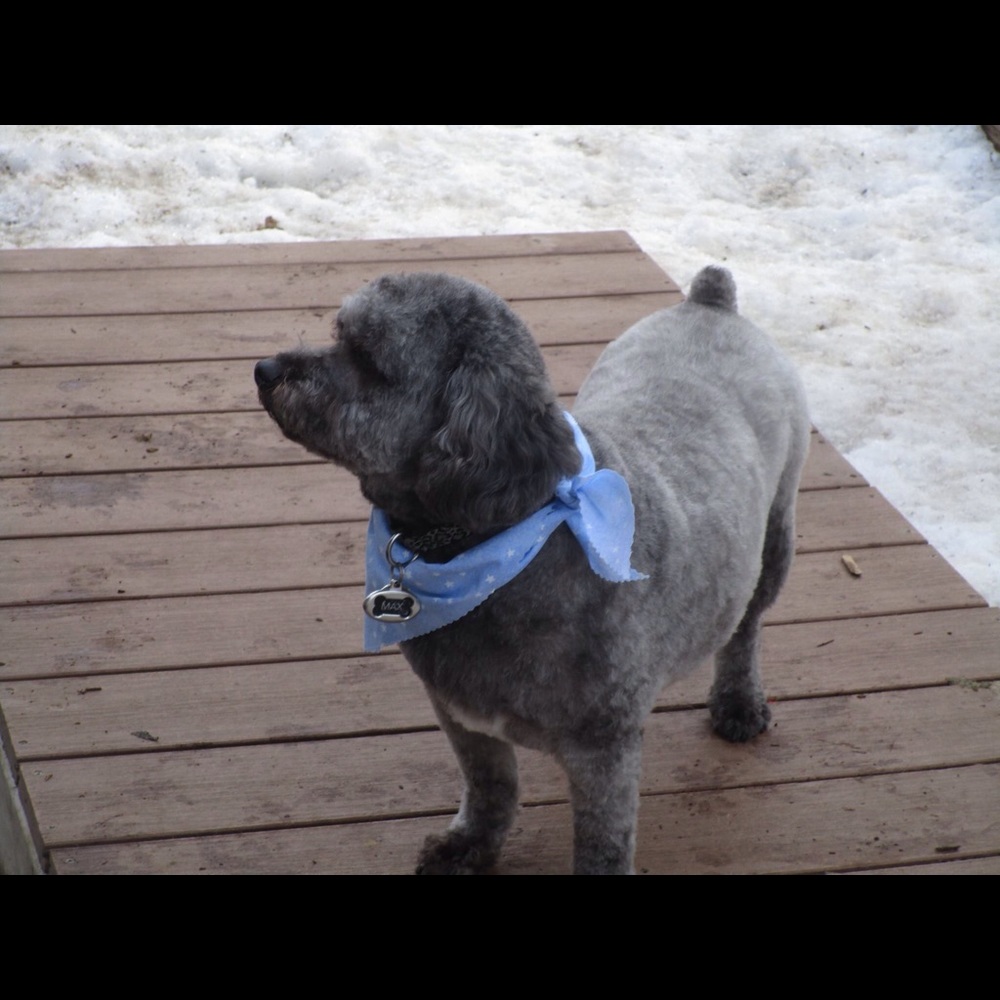 Meet your Posher, Assunta