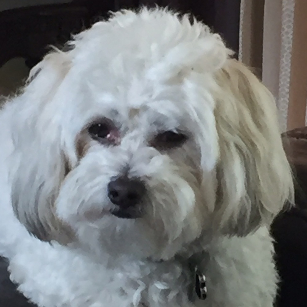 Meet your Posher, Beatriz