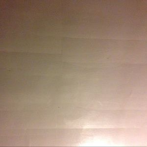 Meet your Posher, Lakeisha