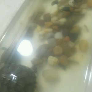 Meet your Posher, Lesly