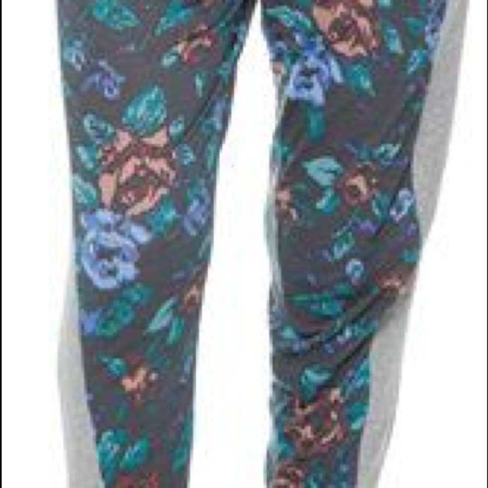 🆕Tallow Ashton Tracksuit Pant - Picture 4 of 6