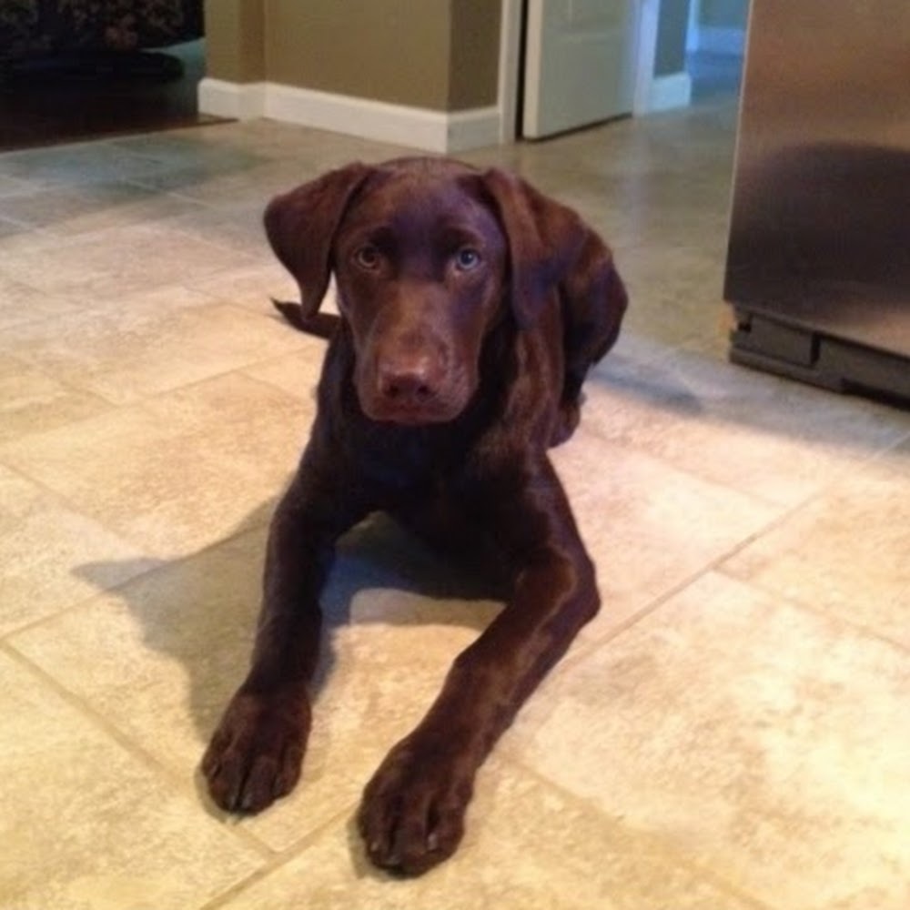 Meet your Posher, Rhonda